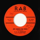 Sweet Soul/Funk 45 - D. C. & Company - Am I Worth The Tears - RAB - obscure!