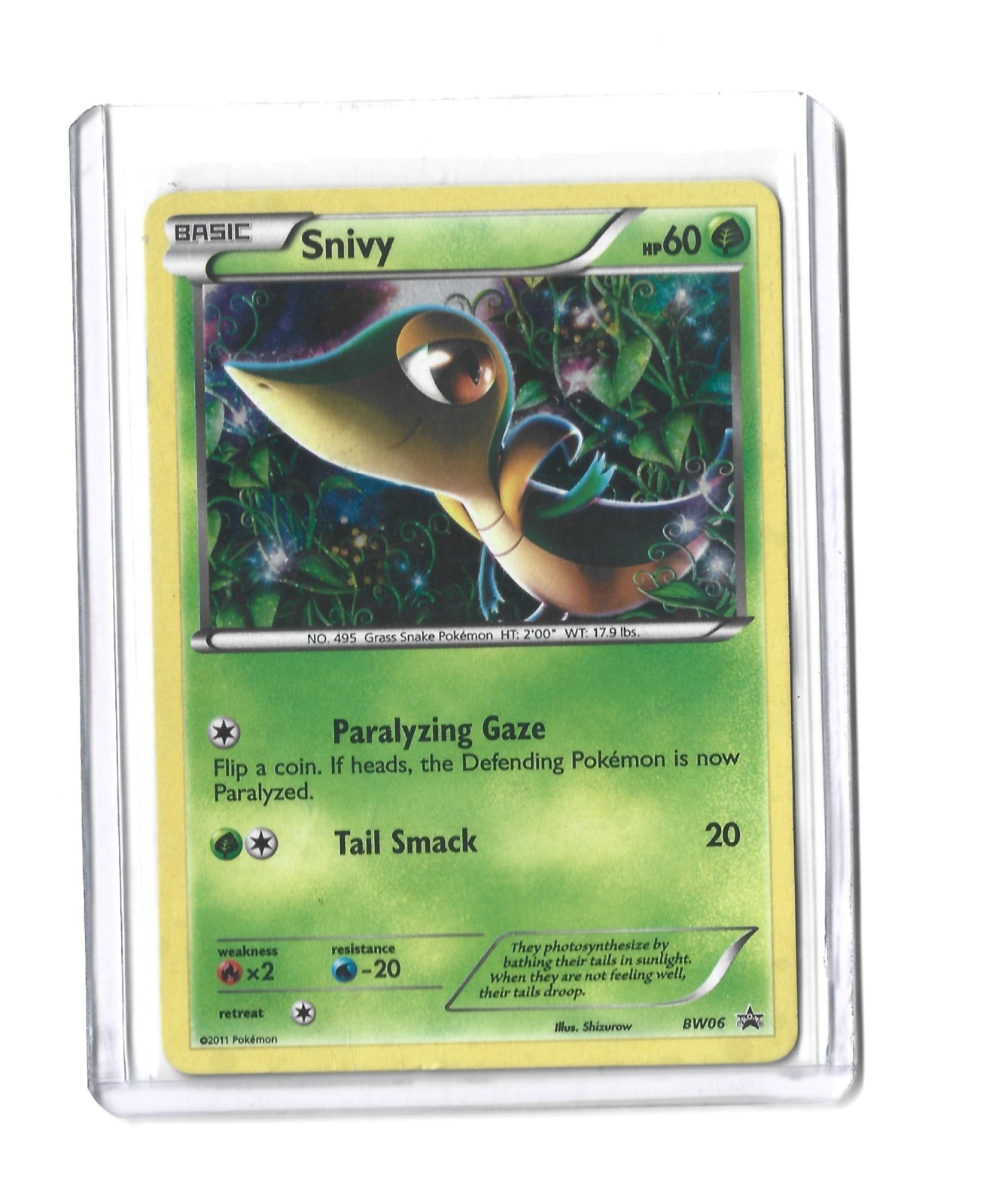 2011 Pokemon Black & White Promo Ultra Rare Holo Snivy - BW06 Card HP 60