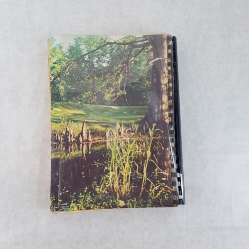 Bayou Cuisine: Its Tradition & Transition Cookbook St. Stephens Mississippi 1972 - Imagen 2 de 16