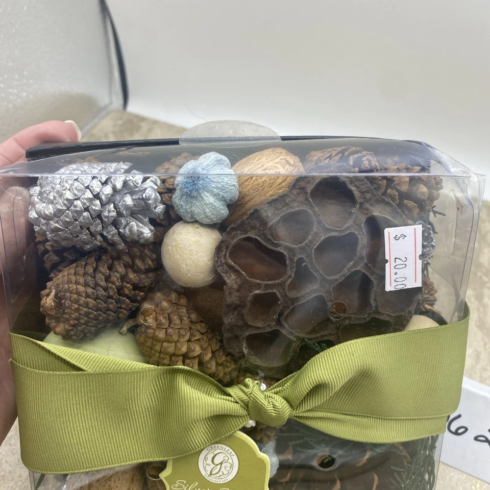 Greenleaf Silver Spruce Caja de Regalo Vacaciones Popurrí Jarrón Cuenco Rellenos Nuevo En Caja Foto 2 de 4