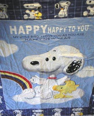 Peanuts SNOOPY Woodstock + Disney POOH Reversible Twin Duvet Cover EUC