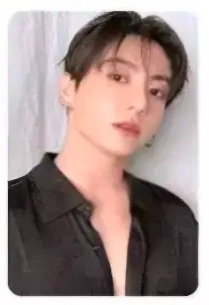 BTS World Tour Arirang Goyang ARMY ZONE Exclusive Photocard