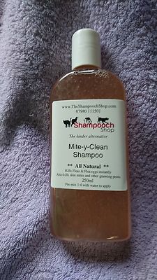 2x250ml Mite/ tick/ flea, natural formula shampoo, dog cat , MiteyClean ...