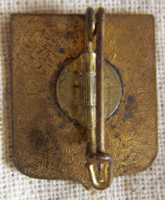 Pin's émaillé Savoie – SK1940 – Insigne Sport Ski – Occasion