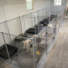 Welpenauslauf H-80 XXL Welpenlaufstall Wurfkiste Hunde Gehege Stall mit T&uuml;r