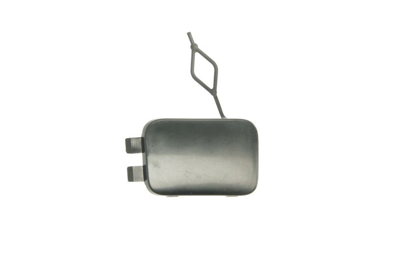 Picture 1