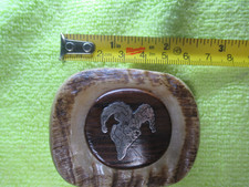 Elk Antler Big Horn Sheep Ram Belt Buckle
