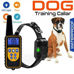 buzzer collar for dogs