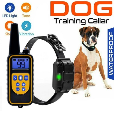 using a shock collar for training