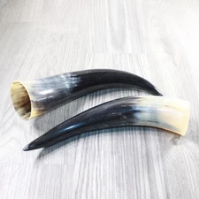 2 Polished Cow Horns #885d    Natural colored