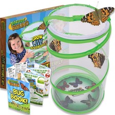 Butterfly Growing Kit - Live Caterpillar to Butterfly Project for Kids - Include