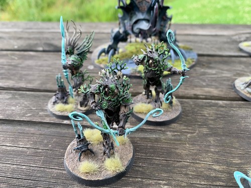 Sylvaneth Age of Sigmar Painted army - Picture 9 of 18