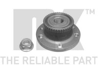 NK 763929 Radlagersatz Radlager Satz Radlagerset Hinterachse Hinten