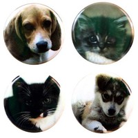 Buttonsmithâ® Puppies And Kittens Set C Refrigerator Magnet Set, New, Free Shipp on sale Buttonsmithâ® Puppies And Kittens Set C Refrigerator Magnet Set, New, Free Shipp on sale