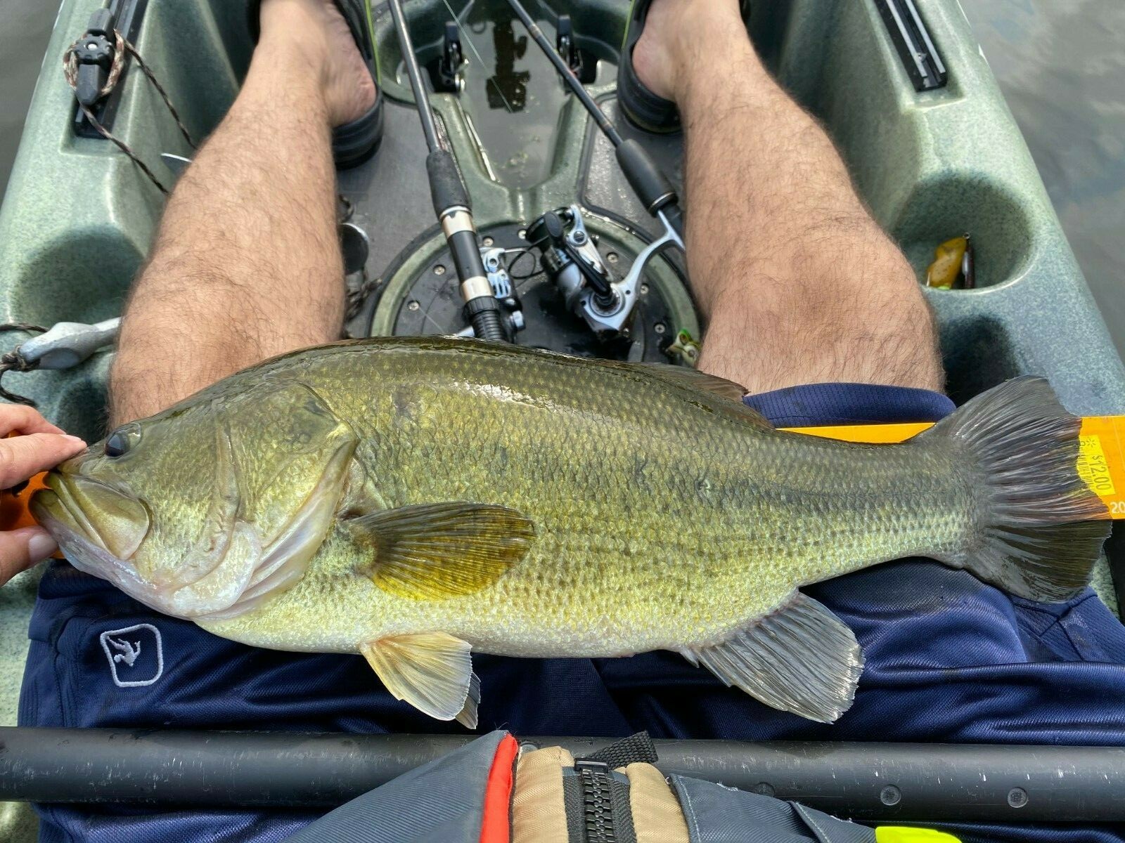  3/8-1/2oz Weedless Red Quad BuzzBait w/Black/Yellow Barbwire Skirt & Frog - Image 2