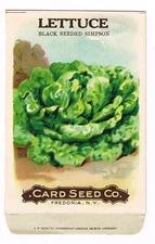 VINTAGE CARD SEED PACKET NEW YORK ANTIQUE C1910 LETTUCE SIMPSON FOLK ART RARE