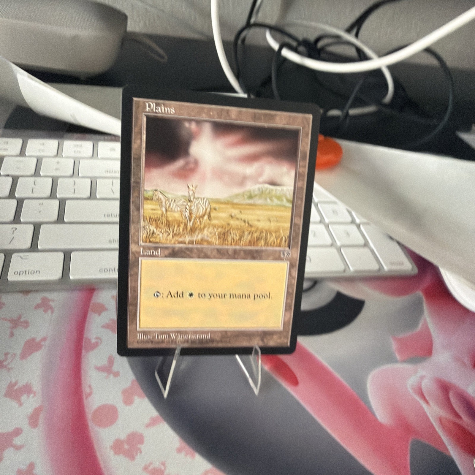 Plains (Zebra) (NM) Mirage MIR Magic MTG