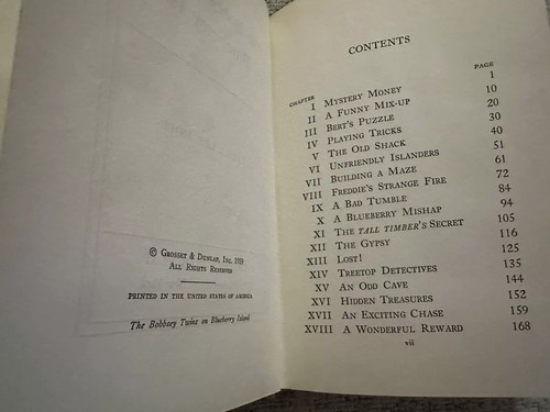 SET MIT SIEBEN BOBBSEY ZWILLINGEN HARDCOVER BÜCHERN - Bild 18 von 18