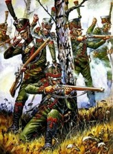 toile tableaux soldat guerre bataille militaire empire  30x45cm