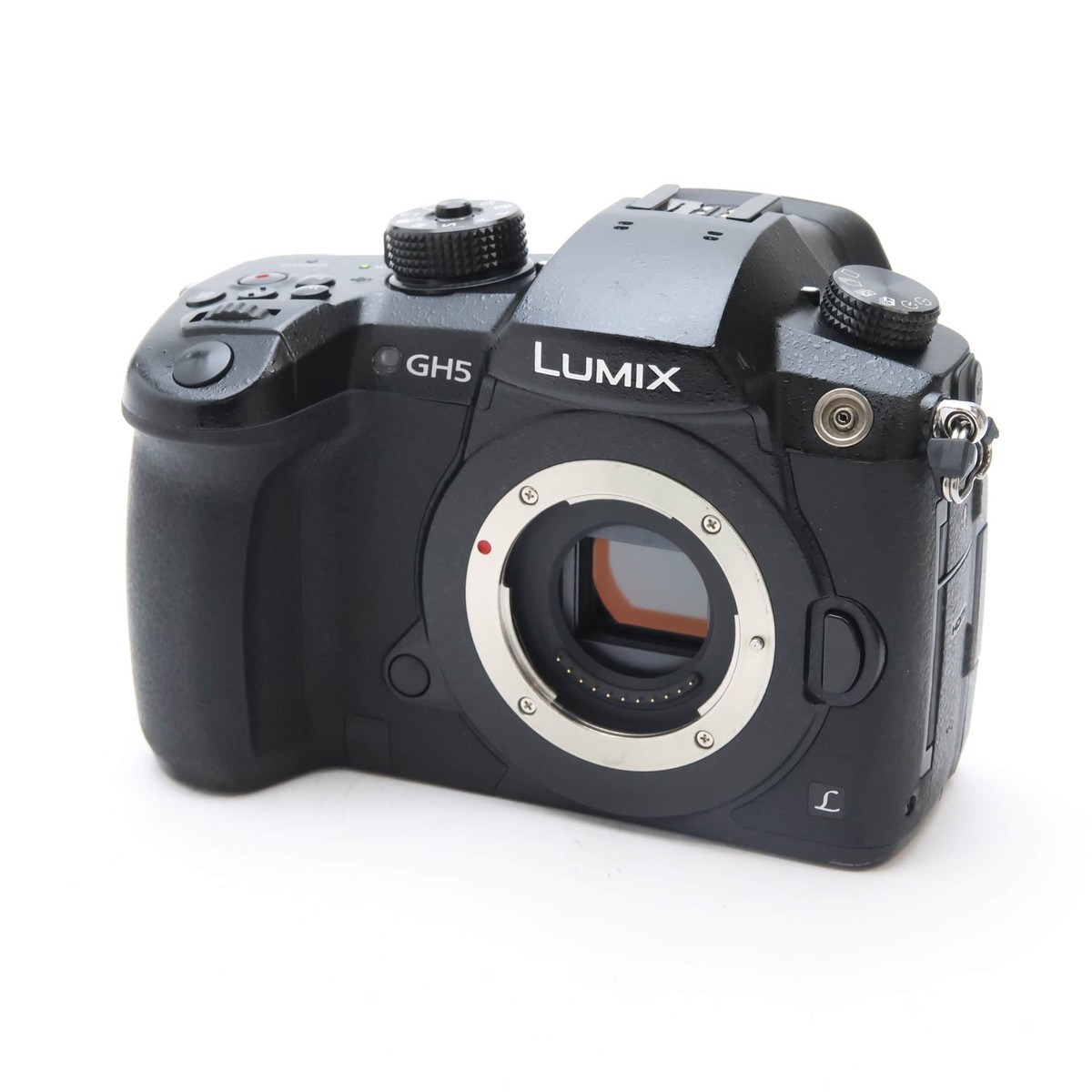 Panasonic LUMIX GH5ボディ DC-GH5 Amazon.com : PANASONIC LUMIX GH5 Body 4K Mirrorless Camera