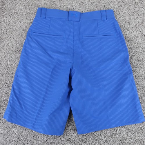 Under Armour Shorts Men 28 Blue Striped HeatGear Performance Stretch Long Inseam - Picture 2 of 8