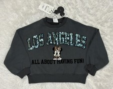 Zara Minnie Mouse Sweatshirt