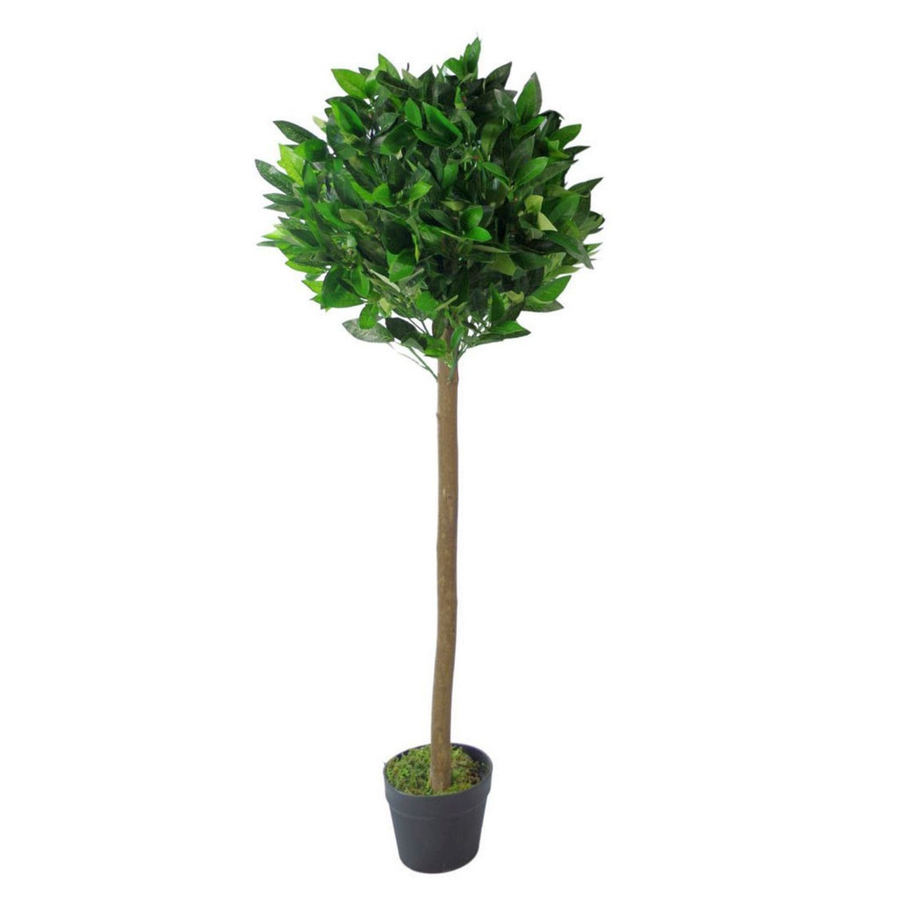 Blue Pirate Green Artificial Bay Laurel Topiary Tree 120Cm Trunk - Image 2