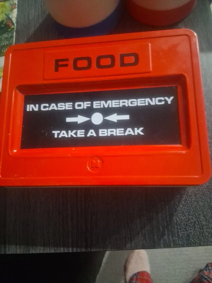 En caso de lonchera de emergencia hecha por 2 frascos de comida Aladdin aislados de colección Foto 2 de 4