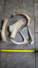 Deer And Elk Antler Dog ChewS For Large Dogs And Heavy Chewers LARGE