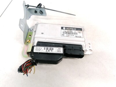 Hyundai Getz 2005 ECU Engine Computer (Engine Control Unit) 391062 #1204629-83