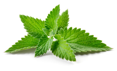 PREMIUM FOOD FLAVOR CONCENTRATE CONCENTRATES MADE IN USA FAST SHIP!!!!!!