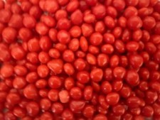 RED CINNAMON Hot Hard Candy - Bulk Candy- One Pound