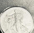 2009 WALKING LIBERTY AMERICAN EAGLE .999 FINE SILVER DOLLAR COIN 1oz. $1 USA BU