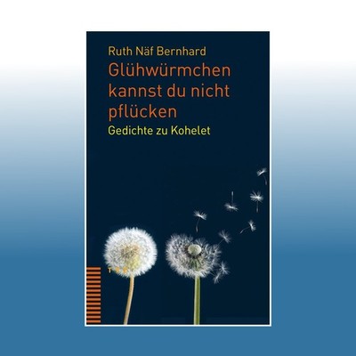 Glühwürmchen kannst du nicht pflücken | Ruth Näf Bernhard