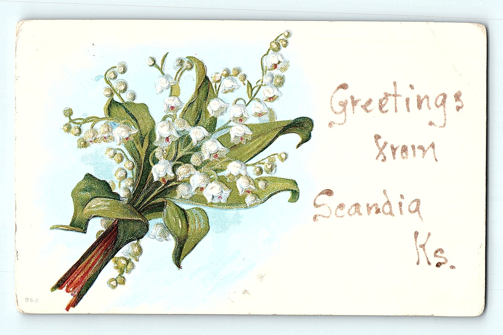Canterbury Bells White Flower Bouquet Vintage Postcard E5