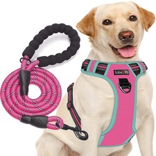 No-Pull Dog Harness Adjustable Reflective Oxford Easy Control w/ 5ft Leash