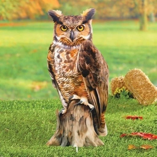 Búho marrón realista encaramado en tocón estaca de jardín metal exterior patio arte decoración Foto 2 de 4