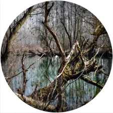 Slipmat Slip Mat Felt for any 12" Turntable LP DJ Vinyl Record Player FOREST