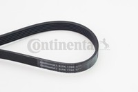 Continental Ctam 6PK1780 V-Ribbed Belt For BMW Fiat Ford Hyundai KIA Renault