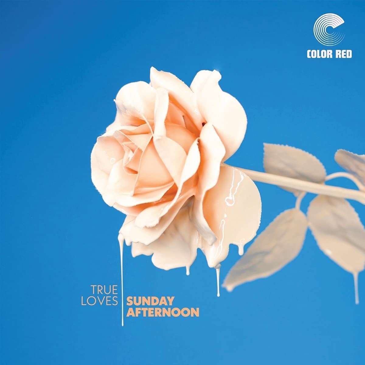 True Loves Sunday Afternoon (CD)