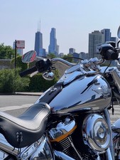 2025 Harley-Davidson Softail for Sale