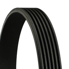 Keilrippenriemen CONTINENTAL CTAM 6PK1110 für NISSAN ALMERA ULYSSE SCUDO 406 605