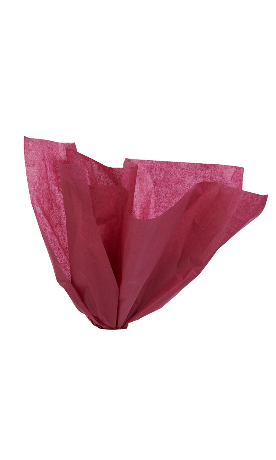 SSWBasics 20 in x 30 in Burgundy Tissue Paper