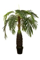 KüNstliche PhöNixpalme 110 Cm Kunstpalme Kunstbaum Kunstpflanze Deko Mcpalms