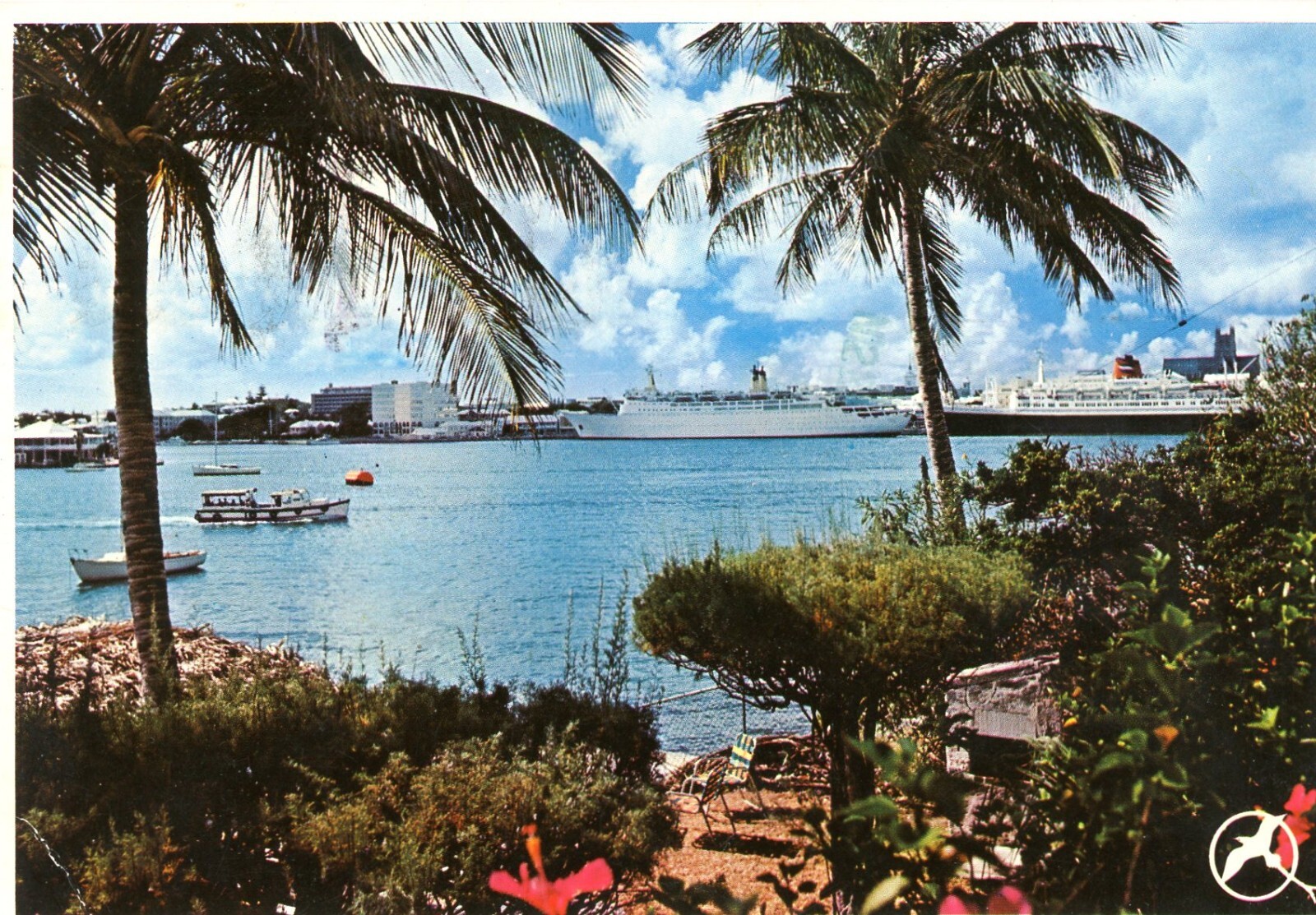 Palm Trees & Cruise Ships, Bermuda, Posted, VG --POSTCARD