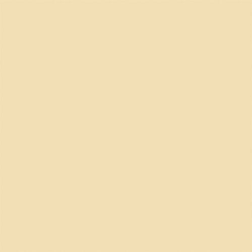 Tru-Color Cream Stucco Sprayable Matte Paints 1oz 29.6mL TCP-418 - Afbeelding 1 van 1