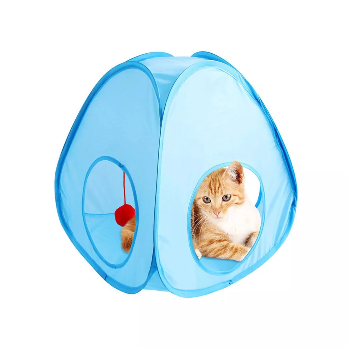 Cat top tunnel tent