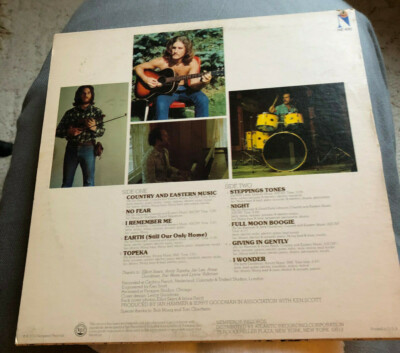 Jerry Goodman & Jan Hammer / Like Children (LP Used) Nemperor