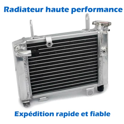 Radiateur de refroidissement en aluminium pr Honda CBR125R CBR125 RT RS 12-19 16 - Photo 1/4