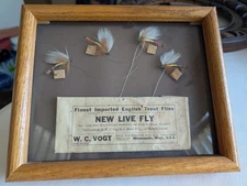 Antique Allcock Vogt Fly Fishing Display (4) Flies 1914 Framed